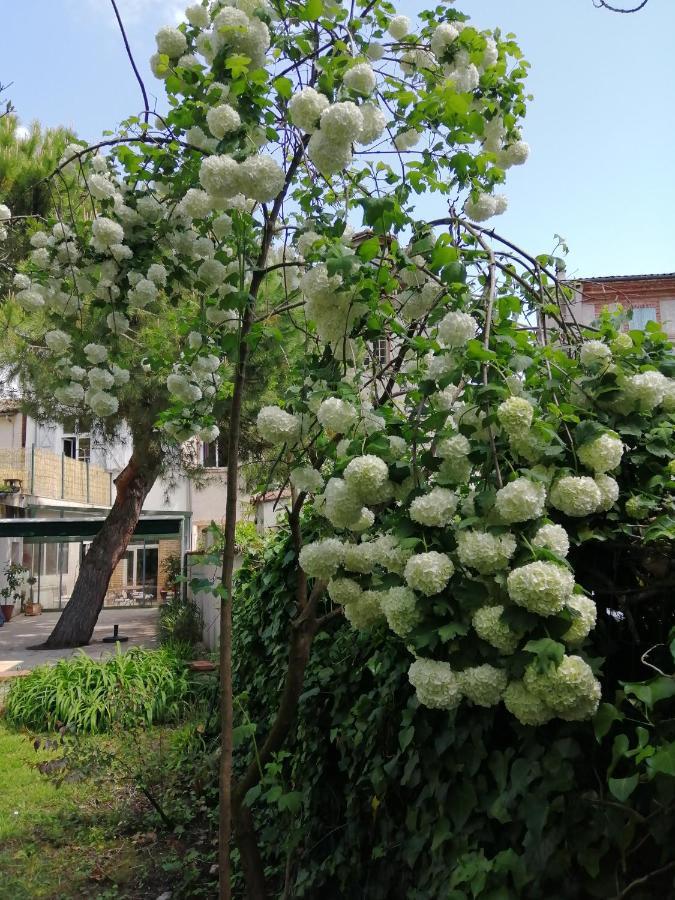 Chambre D'Hotes Pmr Hildegarde Moissac Exterior photo